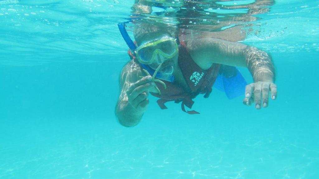 Isle Beach Inn Maldives Dış mekan fotoğraf